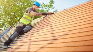 Best Roof Maintenance and Cleaning  in La Puebla, NM