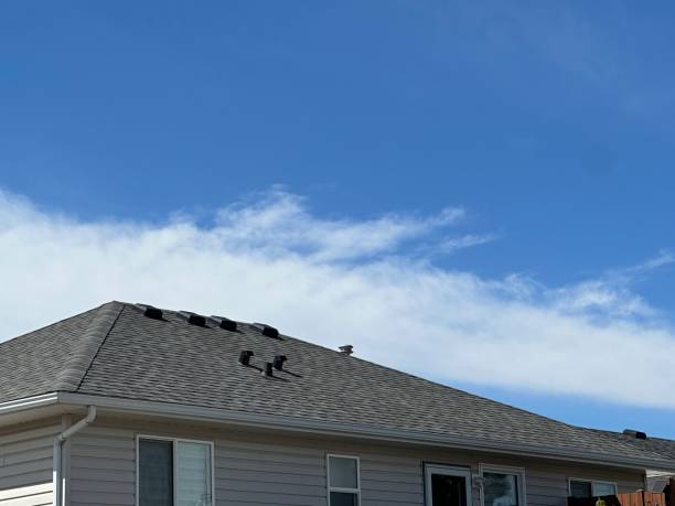Best Skylight Installation and Repair  in La Puebla, NM